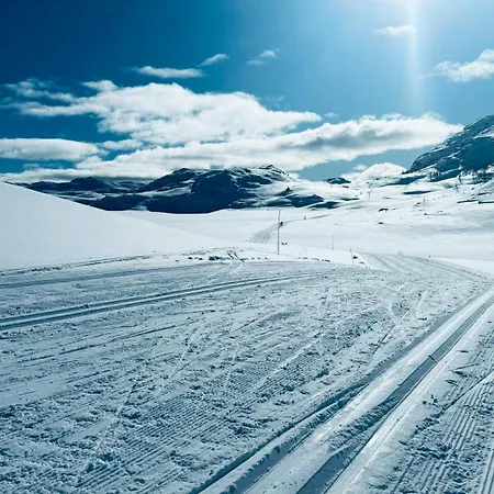 Moderne Hytte Med Udsigt I Rauland * Rauland